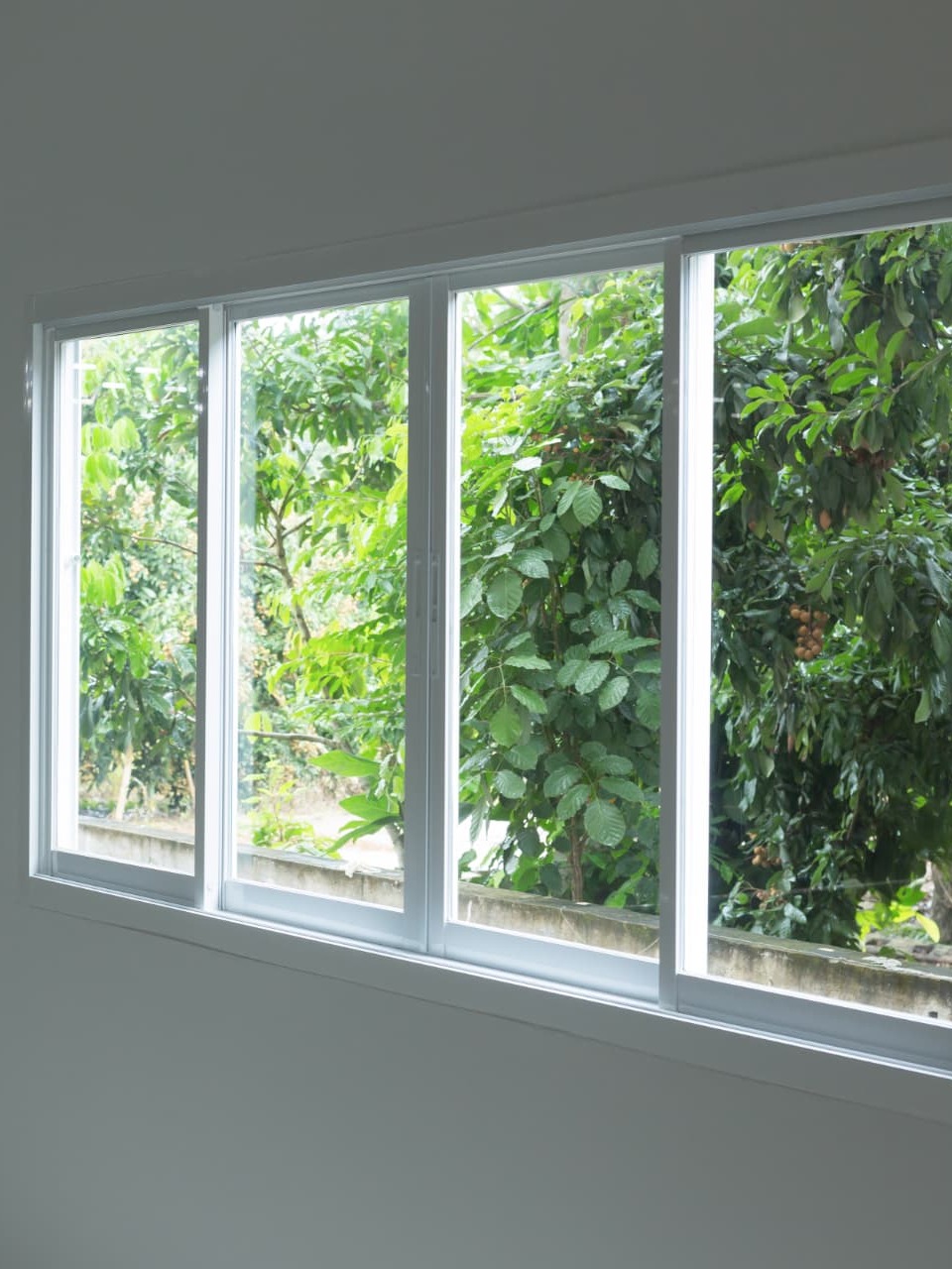 Four-panel sliding window in a slim white frame set into a plain plaster wall, dense fruit-bearing trees and a low concrete boundary wall visible beyond the glass, warm timber skirting running along the base of the wall